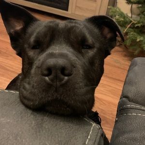 Meet your Posher, Allison